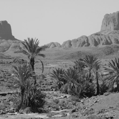 Bou Gafer Horseshoe